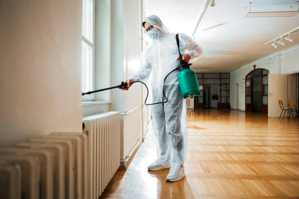 Best Residential Pest Control  in Ponce Inlet, FL